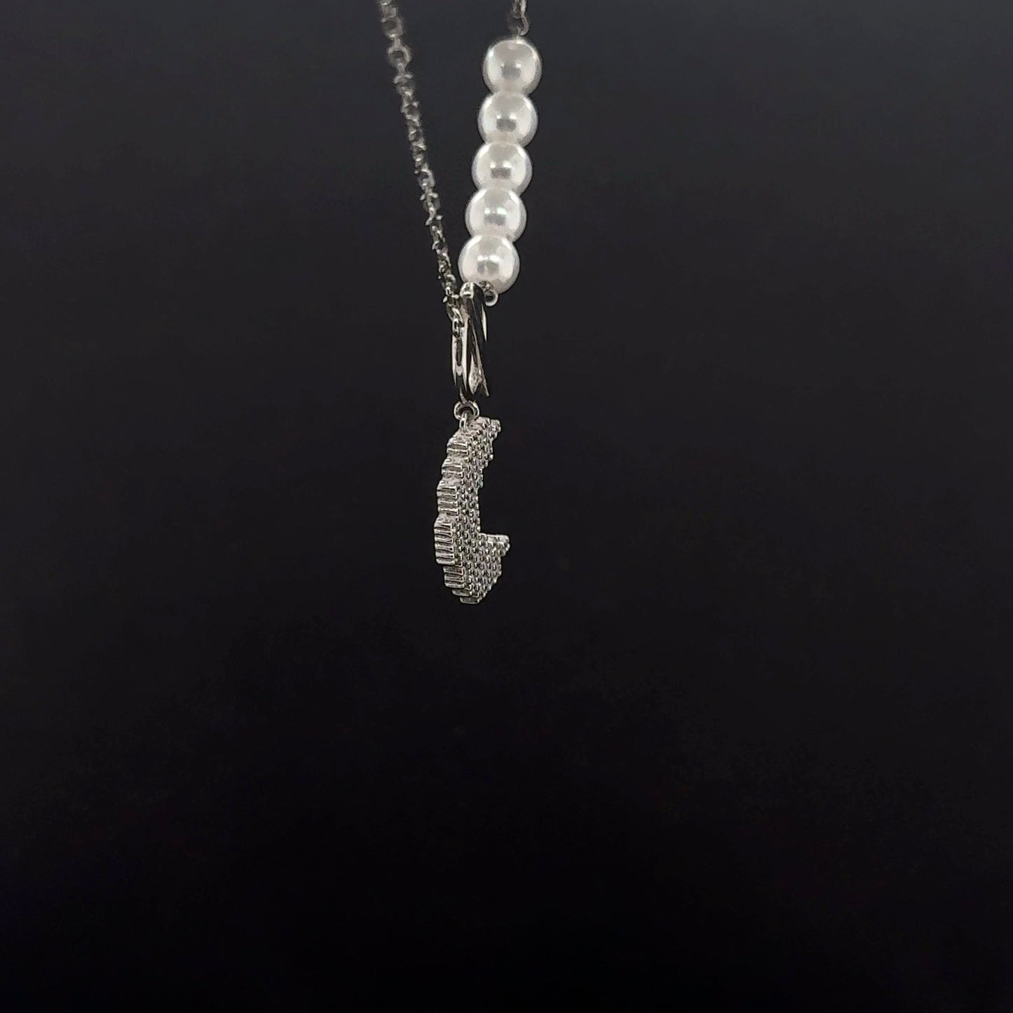 Gargantilla Plata #11750