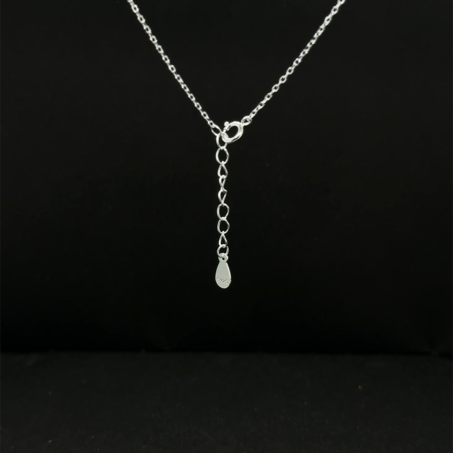 Gargantilla Plata #11770