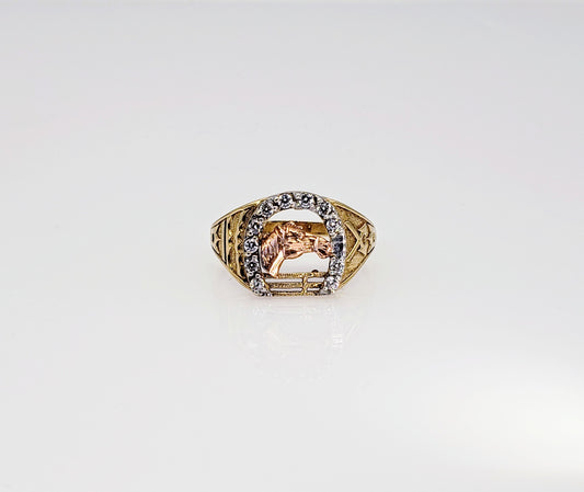 Anillo Caballero Oro 10k #51
