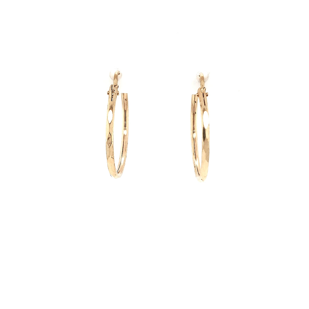 Arracada Oro 10k #5862